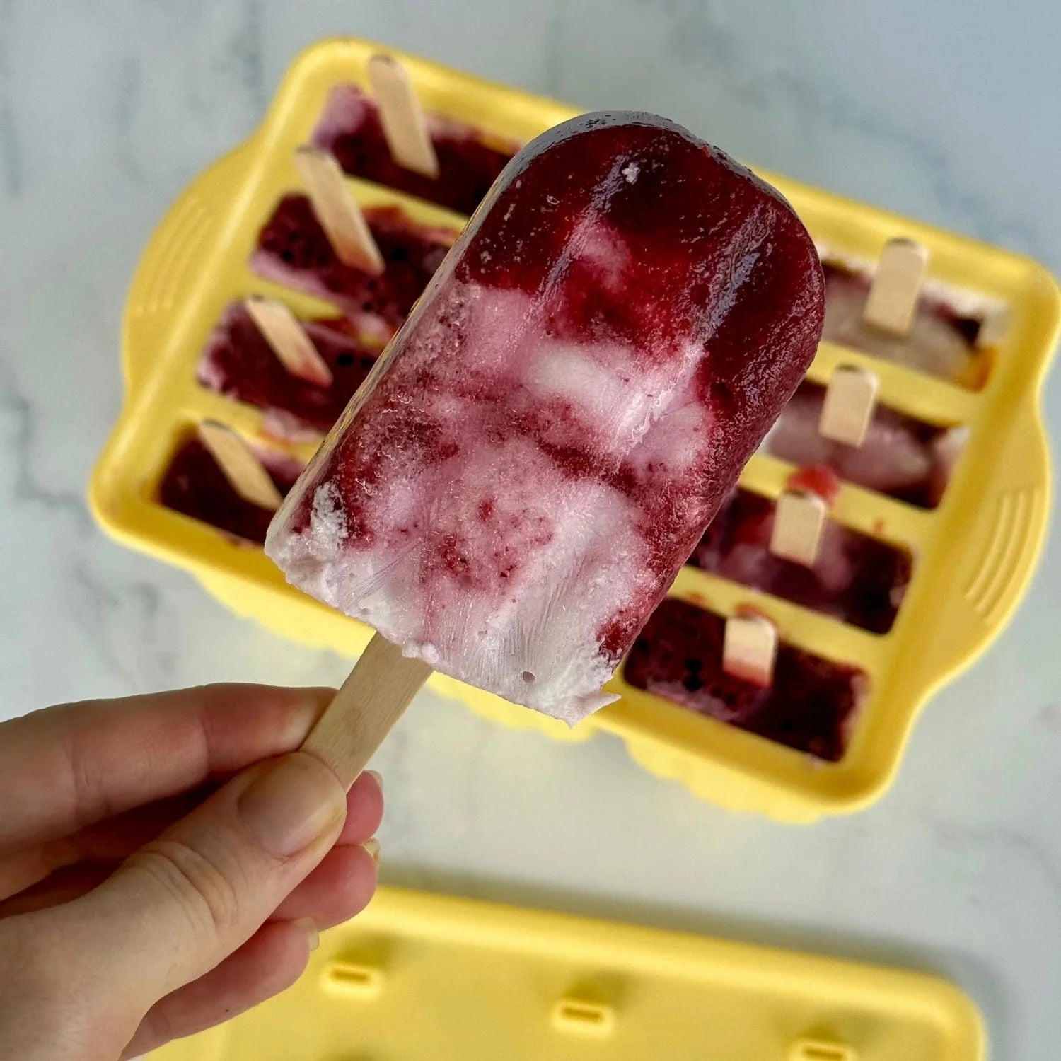 Ever Eco Home & Garden Ever Eco Silicone Popsicle Moulds Tray of 12