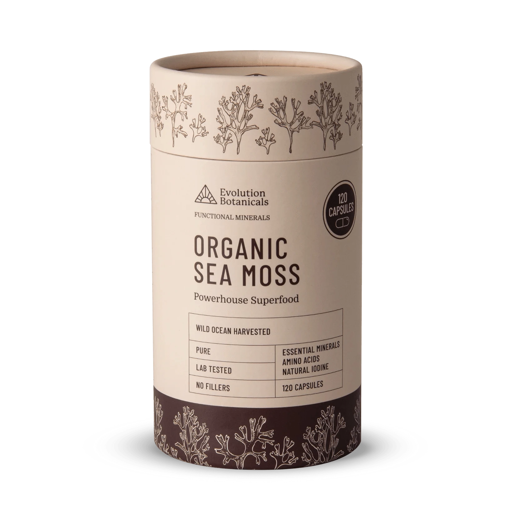 Evolution Botanicals Functional Foods Evolution Botanicals Organic Sea Moss 120 Caps