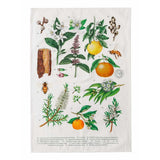 Koala Eco Household Cleaning Supplies Koala Eco Terra Botanica Tea Towel