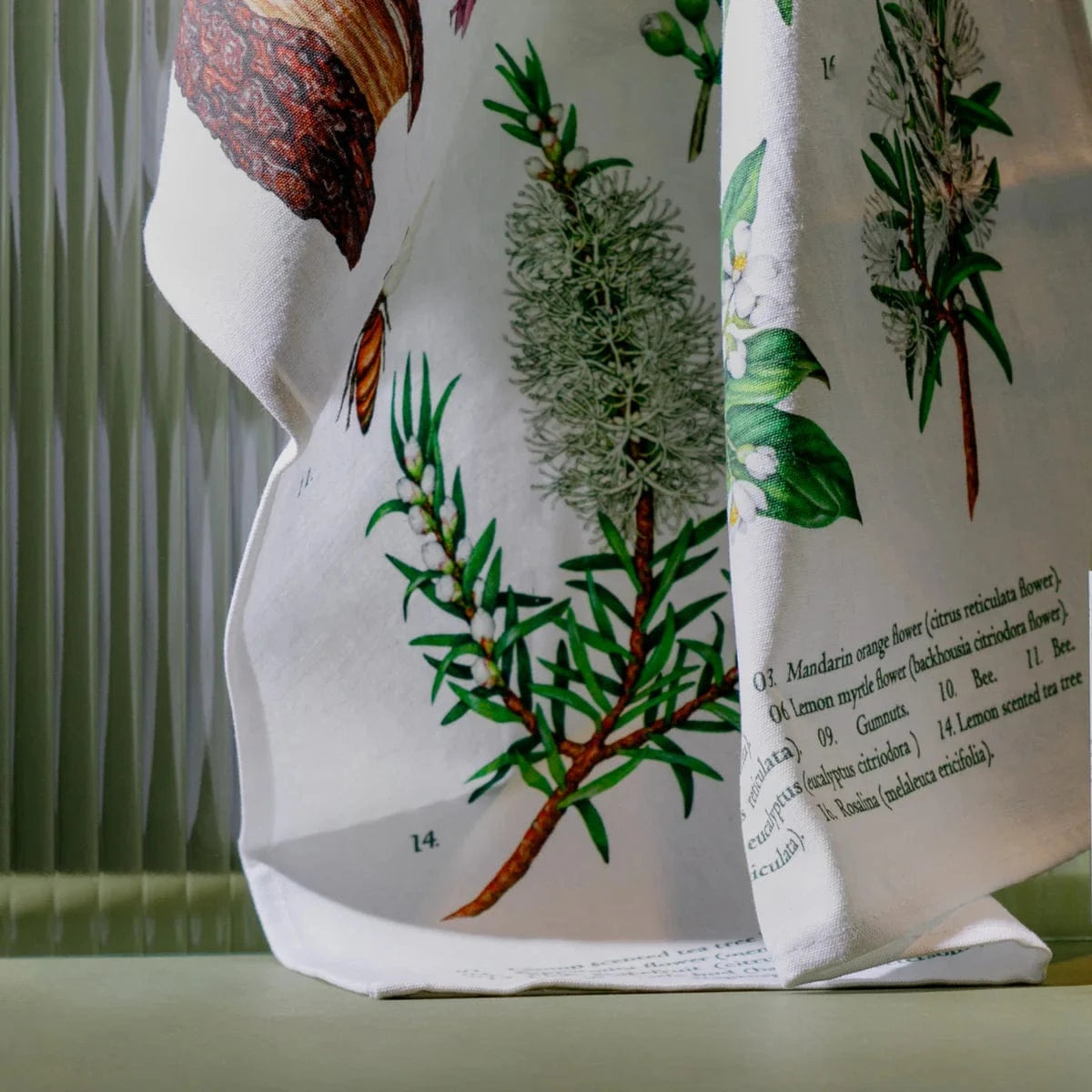 Koala Eco Household Cleaning Supplies Koala Eco Terra Botanica Tea Towel