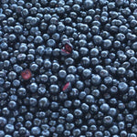 New Nordic Vitamins New Nordic Blue Berry Eyebright