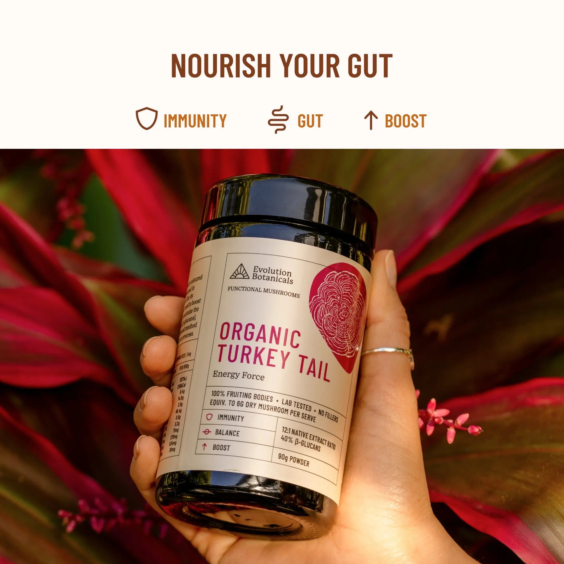 Evolution Botanicals Organic Turkey Tail Energy Force