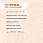 Evolution Botanicals Organic Turkey Tail Energy Force