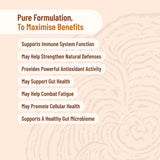 Evolution Botanicals Organic Turkey Tail Energy Force