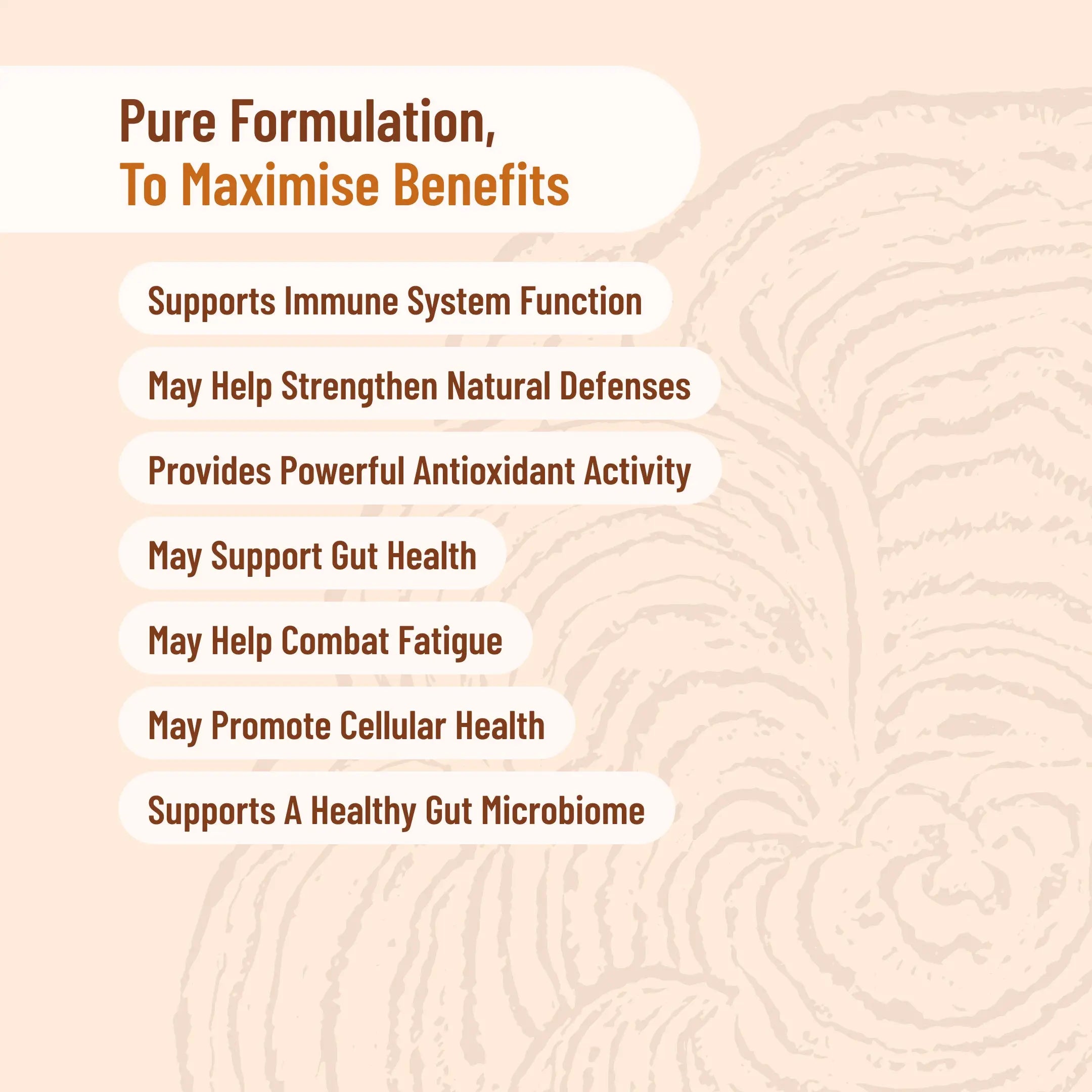 Evolution Botanicals Organic Turkey Tail Energy Force