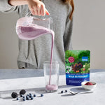 Power Super Foods Cooking & Baking Ingredients Power Super Foods Wild Blueberry Powder Cert Org