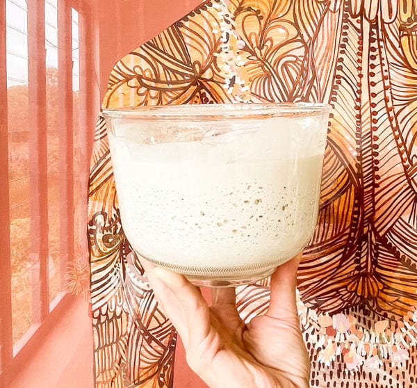 Sourdough Mumma Baking Mixes Sourdough Mumma Sourdough Starter Gluten Free 20g