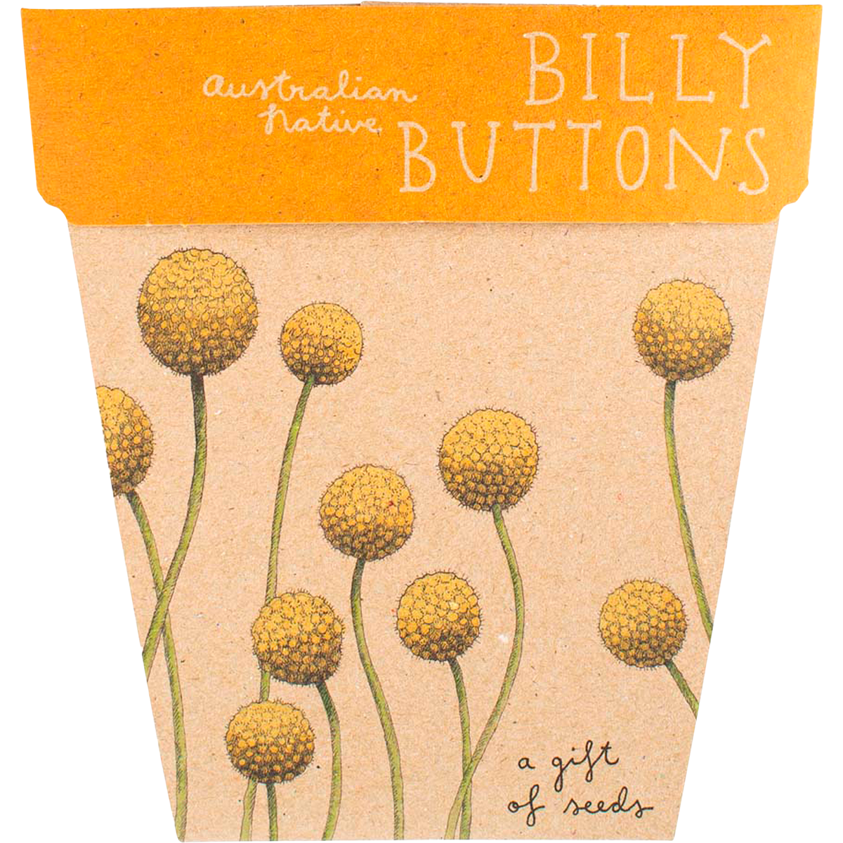 Sow 'n Sow Gift Of Seeds Billy Buttons front image