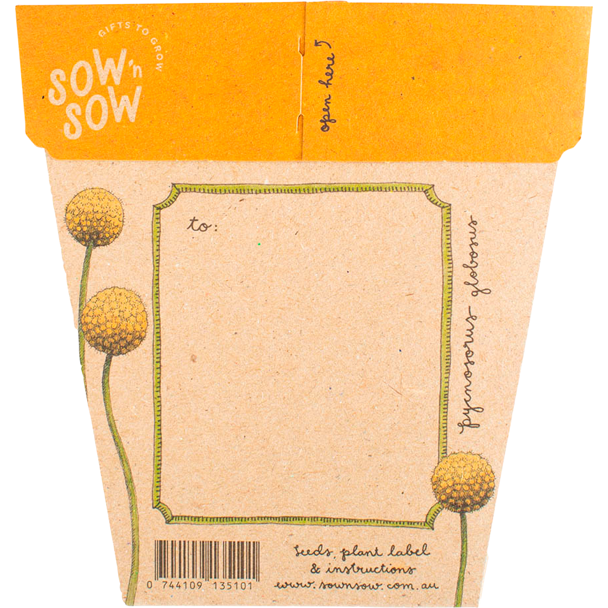 Sow 'n Sow Gift Of Seeds Billy Buttons back image