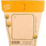 Sow 'n Sow Gift Of Seeds Billy Buttons back image