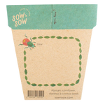 Sow 'n Sow Gift Of Seeds Bug Wonderland back image