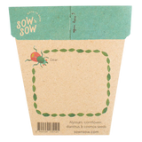 Sow 'n Sow Gift Of Seeds Bug Wonderland back image