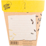 Sow 'n Sow Gift Of Seeds Sunflower back image