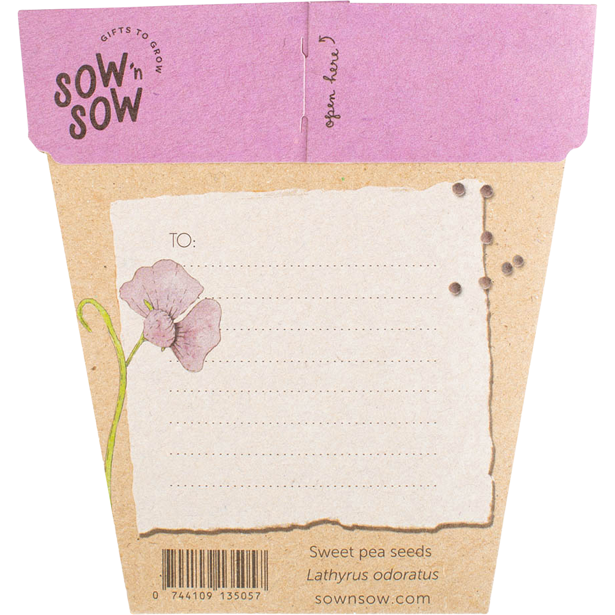 Sow 'n Sow Gift Of Seeds Sweet Pea back image