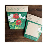 Sow 'n Sow Seeds Seeds 'n Greetings Gift of Seeds - Sow 'n Sow