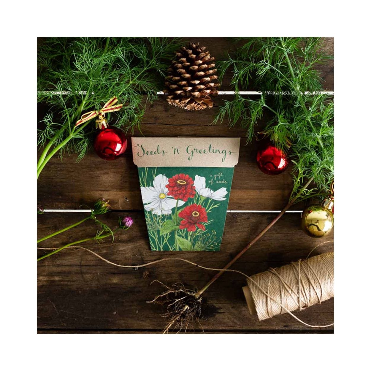 Sow 'n Sow Seeds Seeds 'n Greetings Gift of Seeds - Sow 'n Sow