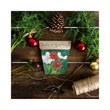 Sow 'n Sow Seeds Seeds 'n Greetings Gift of Seeds - Sow 'n Sow