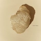 SuperFeast Mushroom Extract 100g Powder SuperFeast Lion's Mane