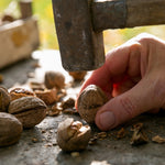 2DIE4 activated walnuts serving lifestyle