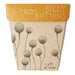 sow 'n sow gift of seeds florals billy buttons