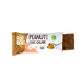 fodbods peanut & choc chunk protein bar 10 x 50g
