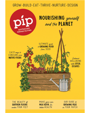 pip magazine spring 21