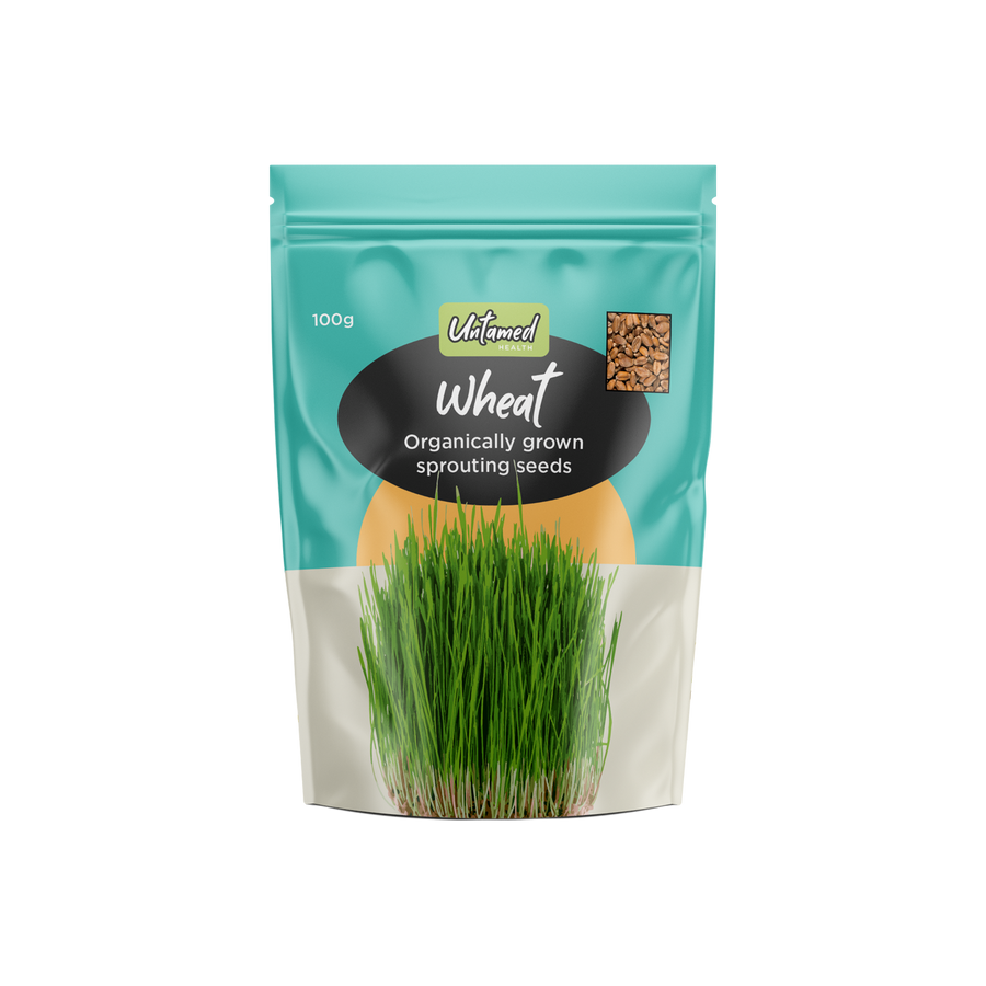 untamed health organically grown sprouting seeds wheat 100g