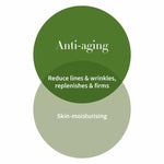 Antipodes Collagen Antipodes Avocado Pear Nourishing Night Cream 60ml