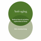 Antipodes Collagen Antipodes Avocado Pear Nourishing Night Cream 60ml