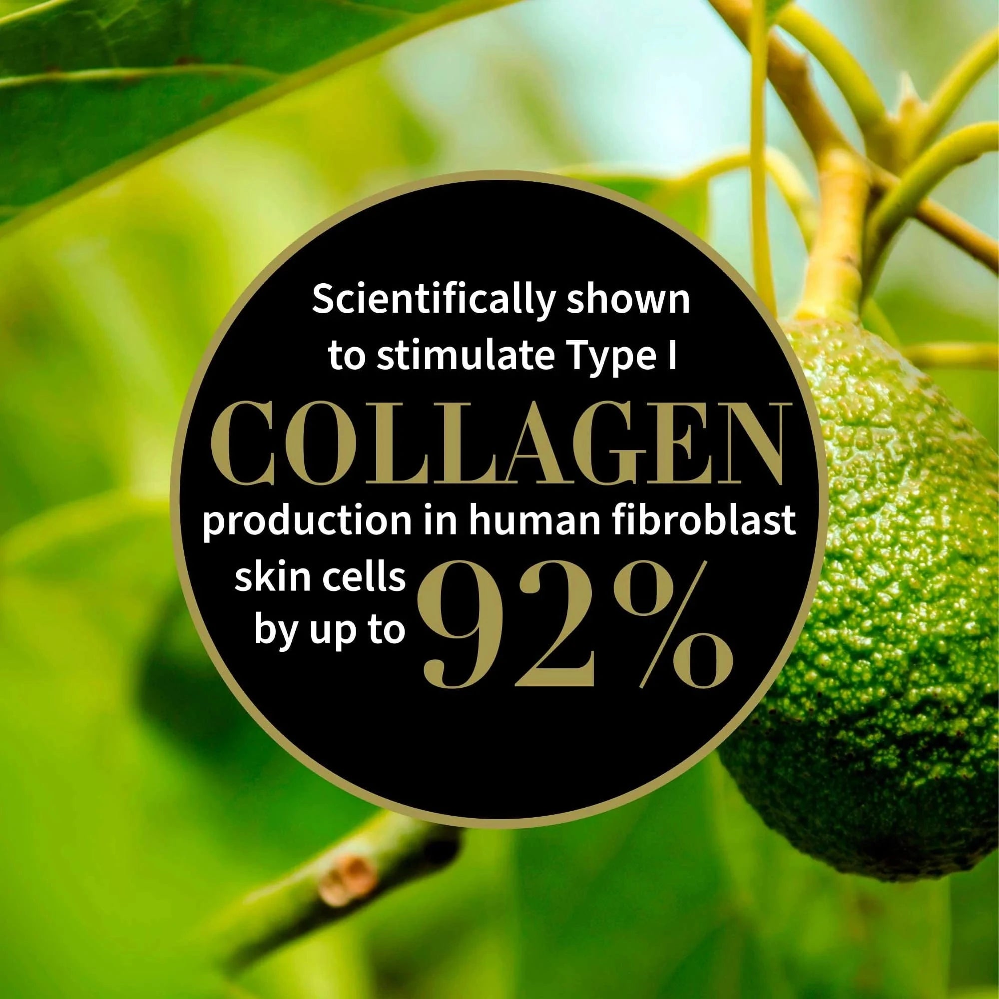 Antipodes Collagen Antipodes Avocado Pear Nourishing Night Cream 60ml