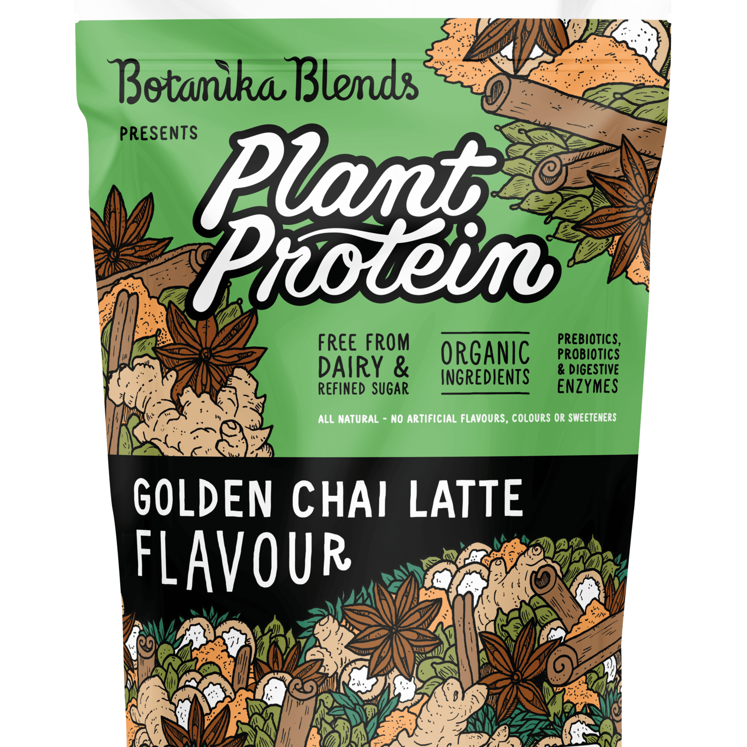 Botanika Blends Protein Powder 500gms Botanika Blends Plant Protein Golden Chai Latte