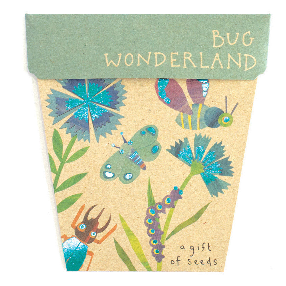 sow 'n sow gift of seeds florals bug wonderland