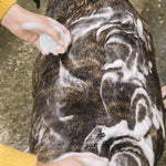 Ethique Bath & Body Ethique Dogs Solid Shampoo Bow Wow Bar 110g