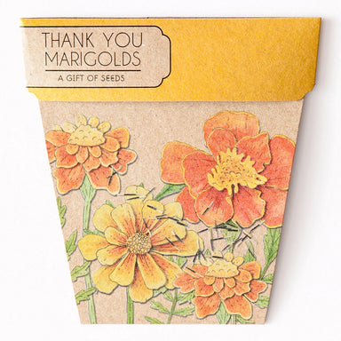 sow 'n sow gift of seeds florals thank you marigolds