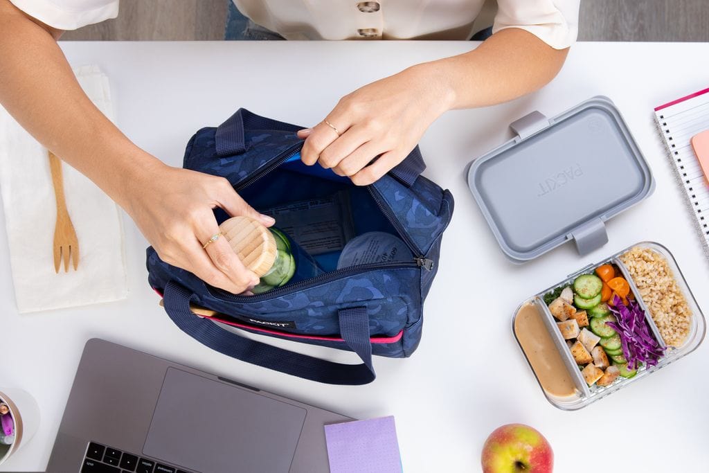 PackIt Lunch Box (SALE!) PackIt Freezable Hampton Bag