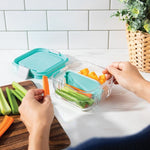 PackIt Lunch Boxes Packit Mod Bento Box
