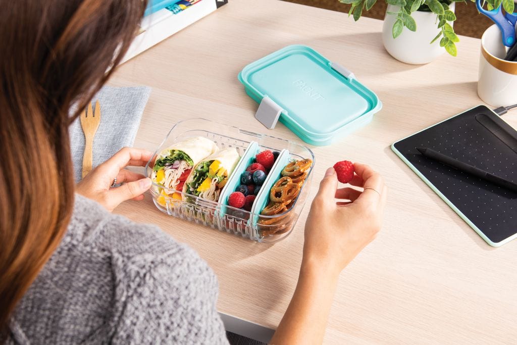 PackIt Lunch Boxes Packit Mod Bento Box