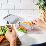 PackIt Lunch Boxes Packit Mod Bento Box