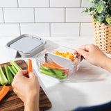 PackIt Lunch Boxes Packit Mod Bento Box