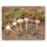 Power Super Foods Cooking & Baking Ingredients Power Super Foods Maca Powder