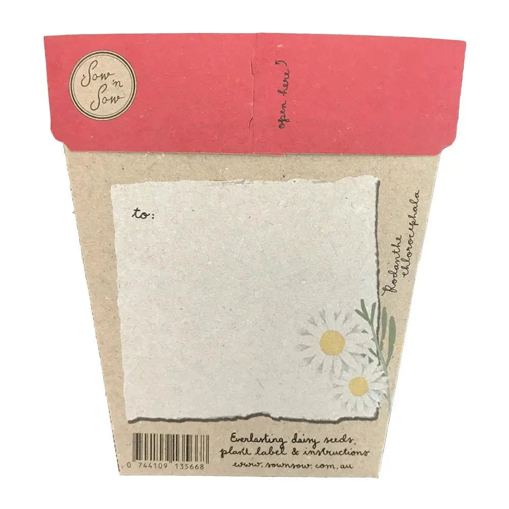 Sow 'n Sow Seeds Sow 'n Sow Gift Of Seeds Christmas Greetings