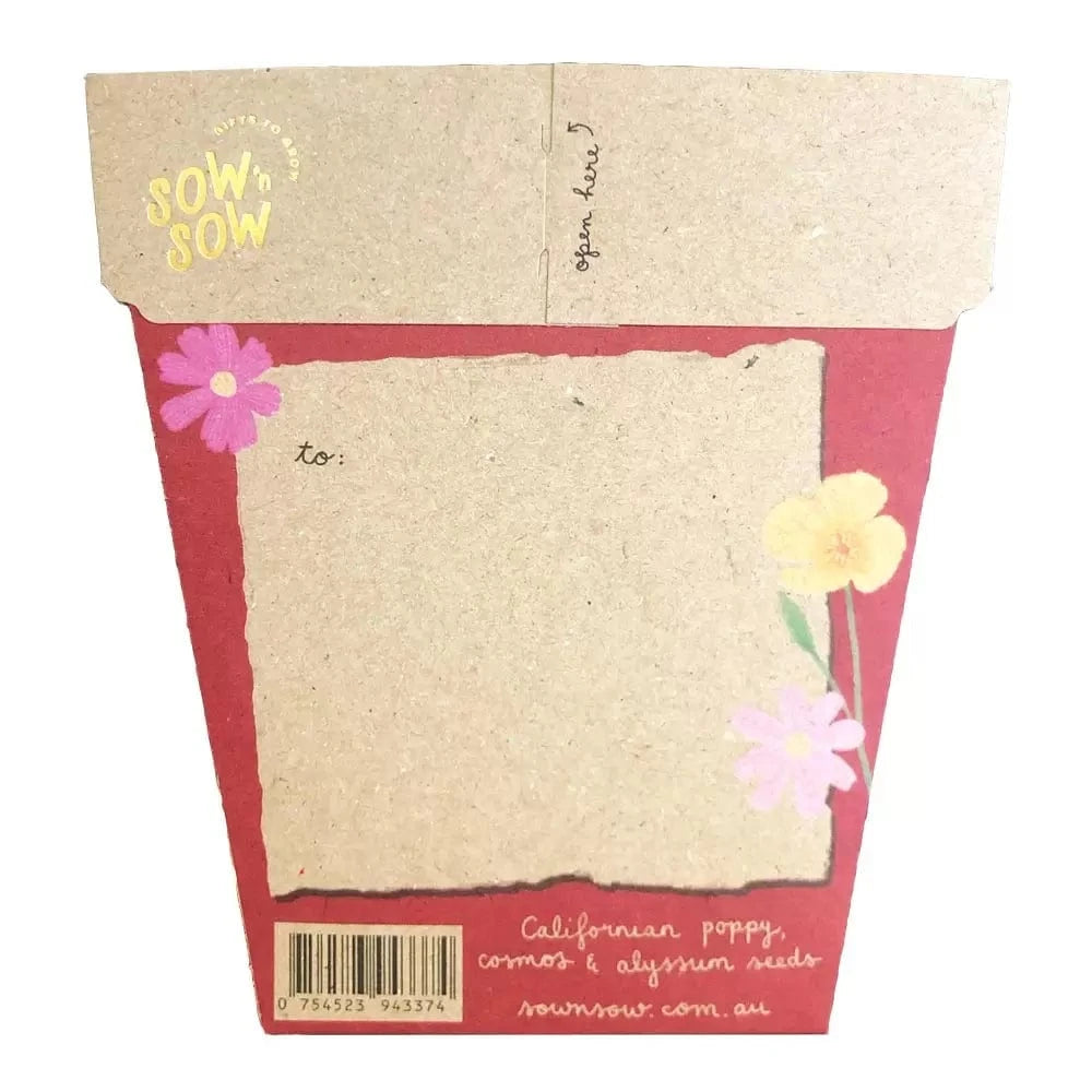 Sow 'n Sow Seeds Sow 'n Sow Gift Of Seeds Christmas Wildflowers