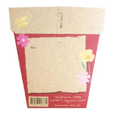 Sow 'n Sow Seeds Sow 'n Sow Gift Of Seeds Christmas Wildflowers
