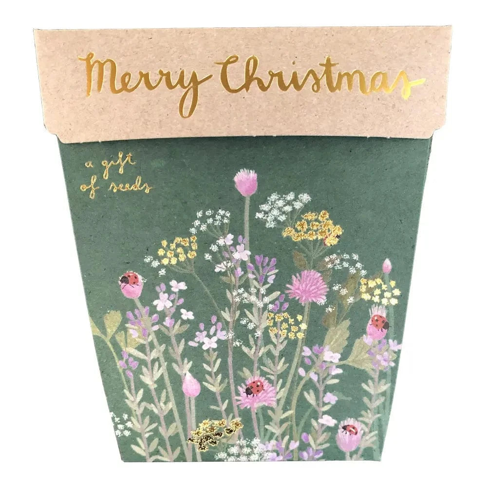 Sow 'n Sow Seeds Sow 'n Sow Gift Of Seeds Merry Christmas