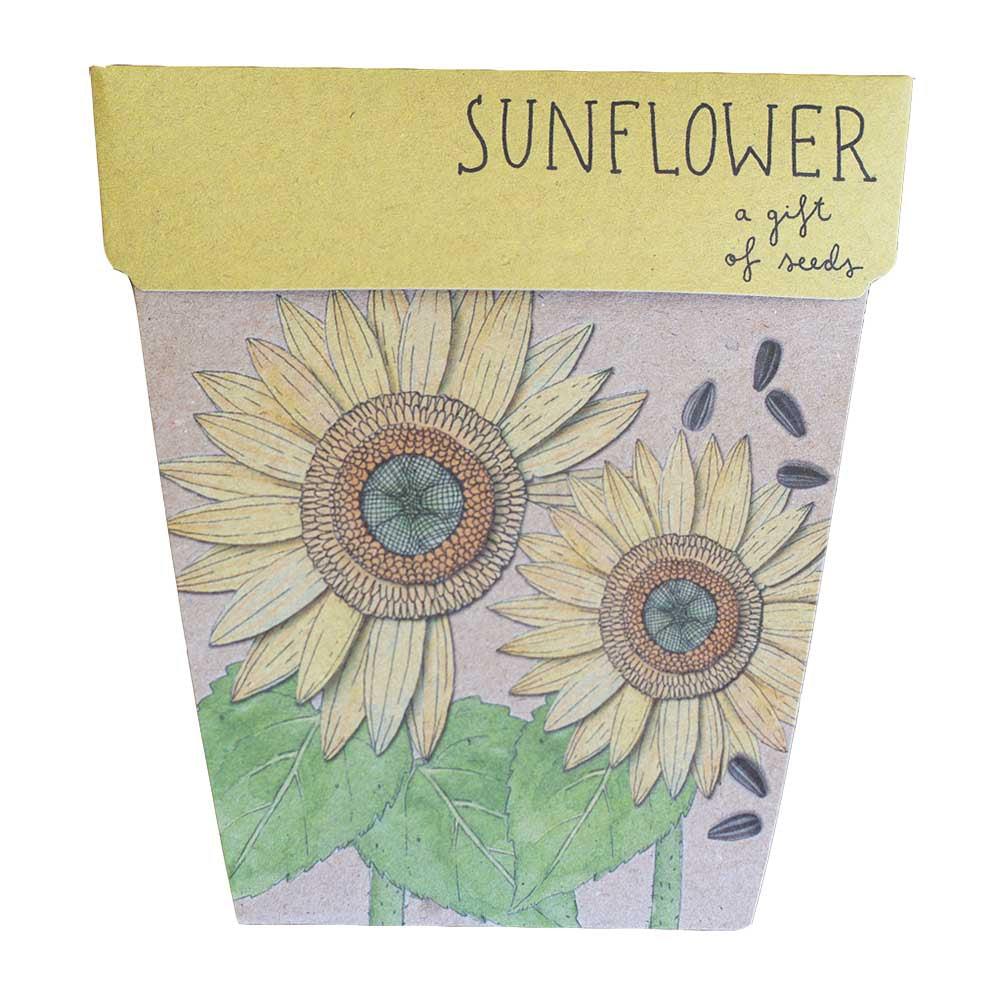 Sow 'n Sow Seeds Sunflower Sow 'n Sow Gift Of Seeds Florals